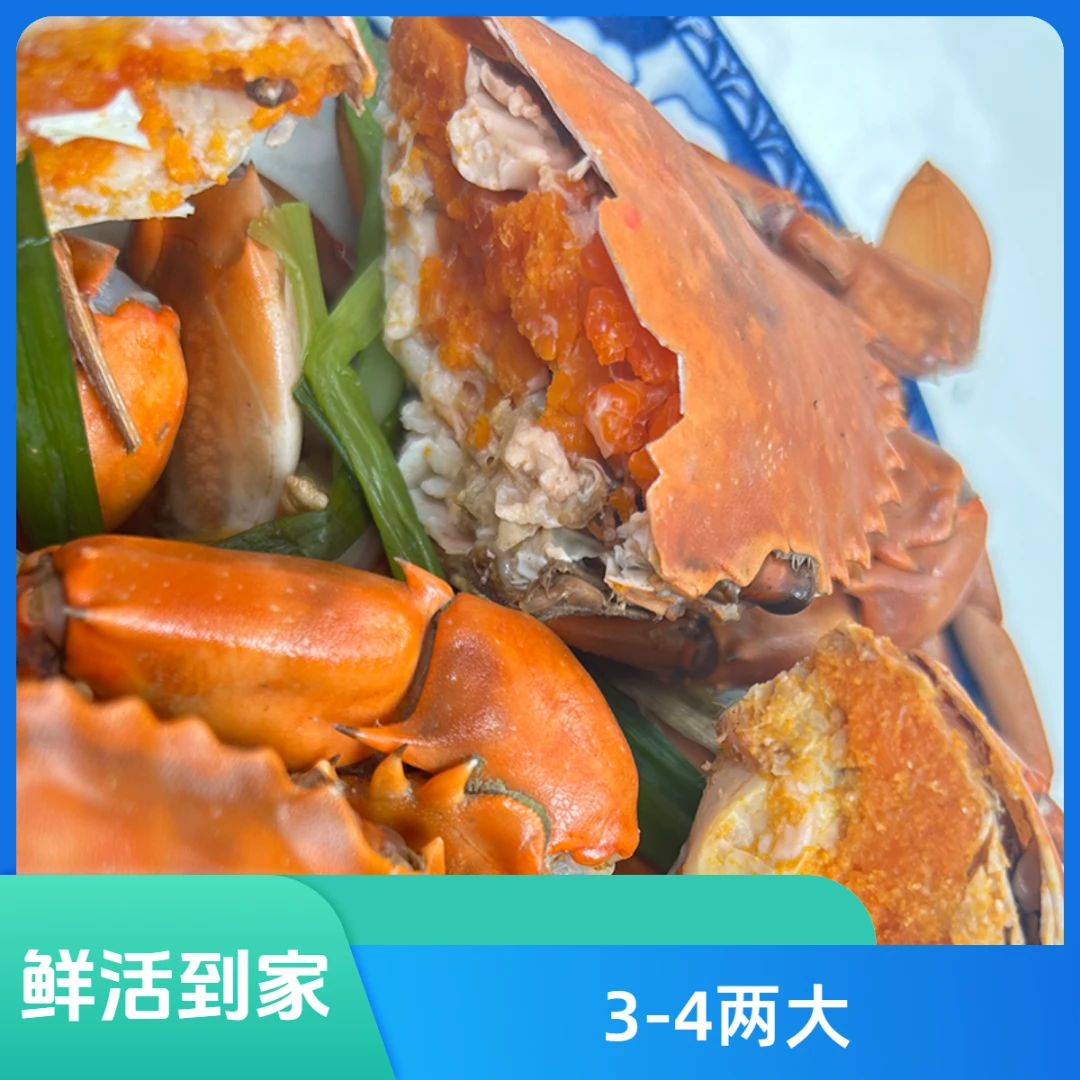 D【3-4两/只】【买3只在送1只】青蟹 大螃蟹 顺丰冷链到家 母蟹 3-4两/只 红膏青蟹