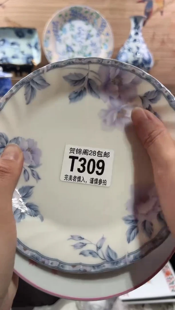 【闪购商品】瓷片当天满28米包邮T309