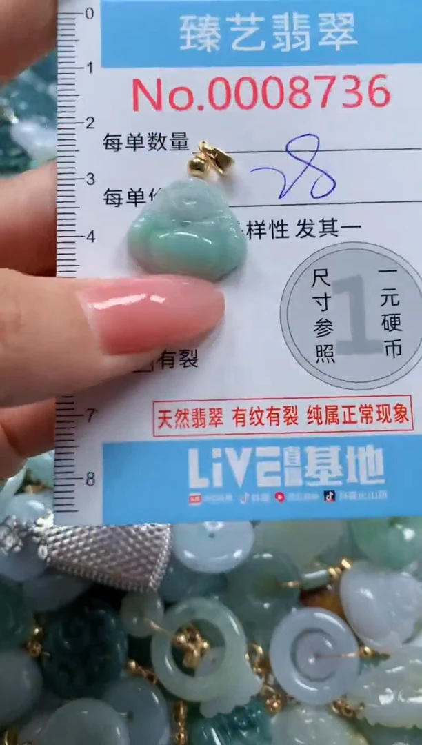 翡翠未镶嵌吊坠(不含链)8736