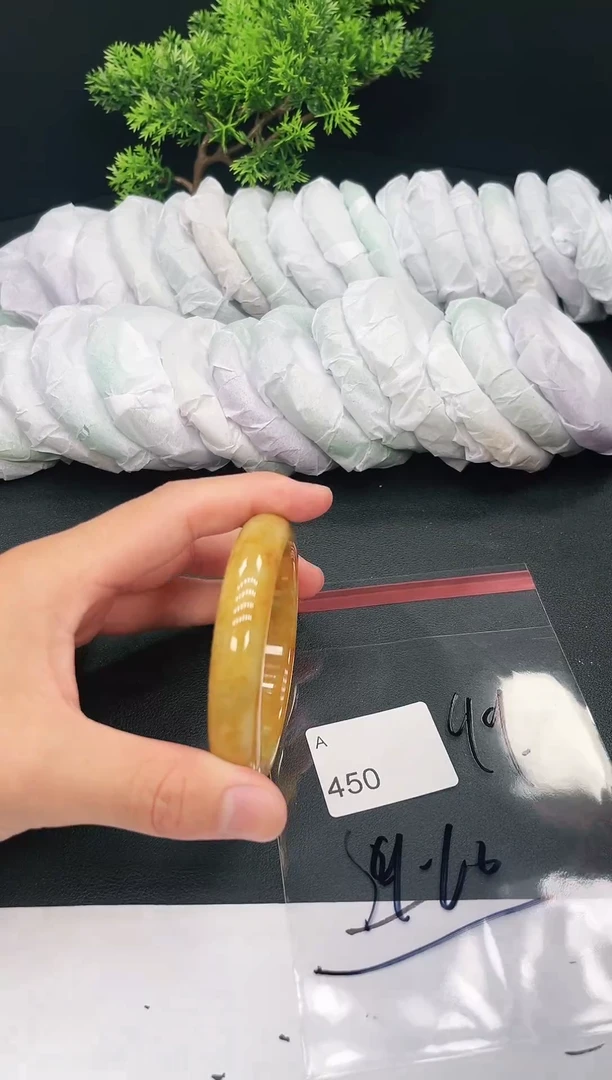 未镶嵌手镯翡翠450