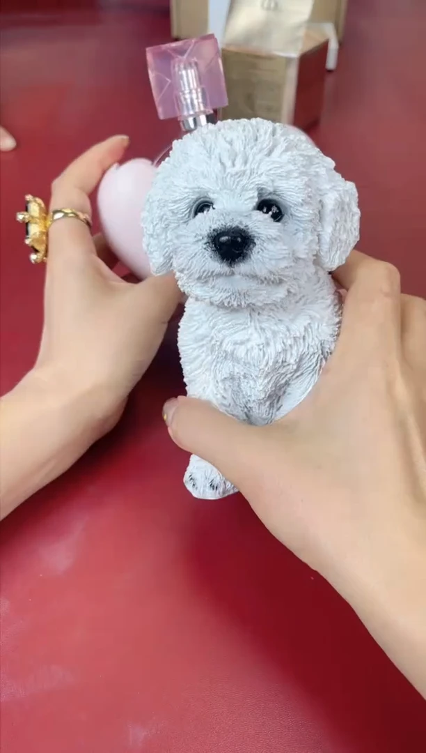 瓷片别算了真划算@@XQ1776