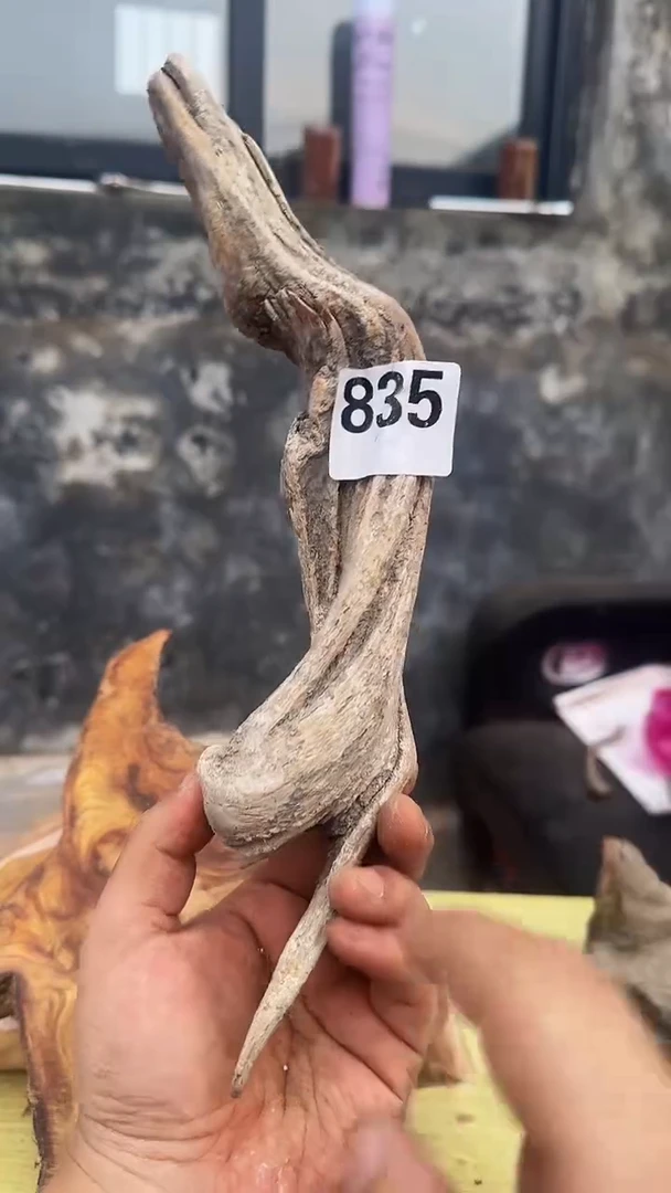 柏木木头款太行陈化崖柏现切片！拧丝835