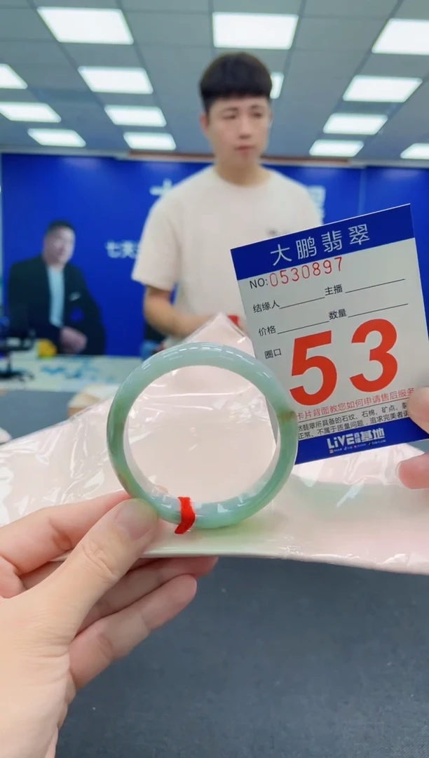 未镶嵌手镯翡翠AAAAAAAAA
