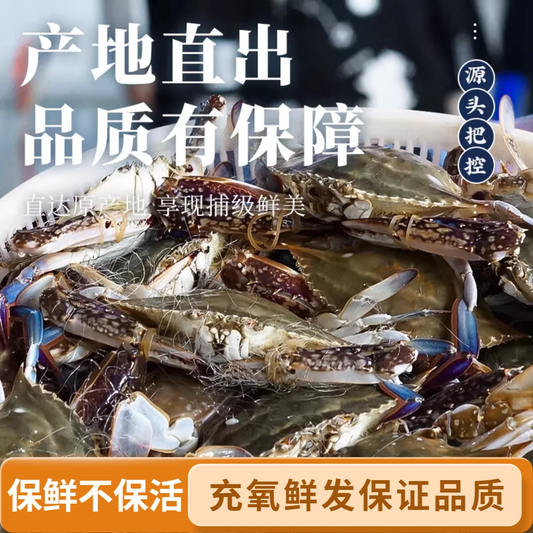 【保鲜不保活】舟山野生流网梭子蟹 新鲜 公蟹 大白蟹 飞蟹   3斤 4-6两/只 到手5~7只 有 码头冷链充氧鲜发