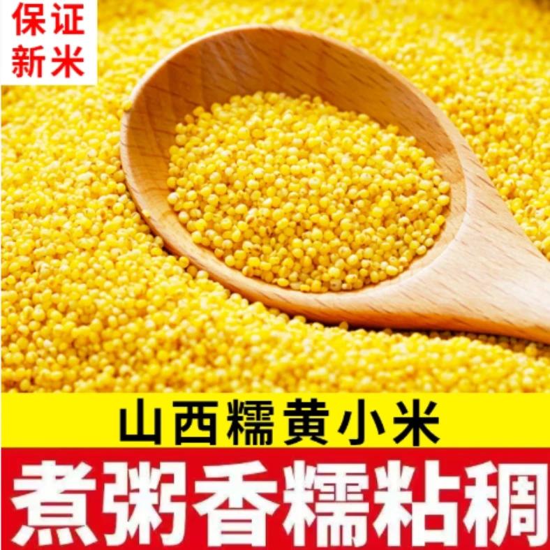 山西特产黄小米农家自种2025年黄小米孕妇月子熬粥米香米油丰厚