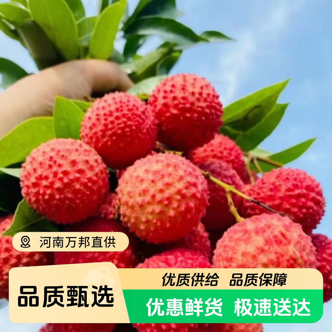 【顺丰包邮】广东桂味荔枝老树头茬果净重2/5.5斤左右新鲜采摘不泡水不泡药应季水果
