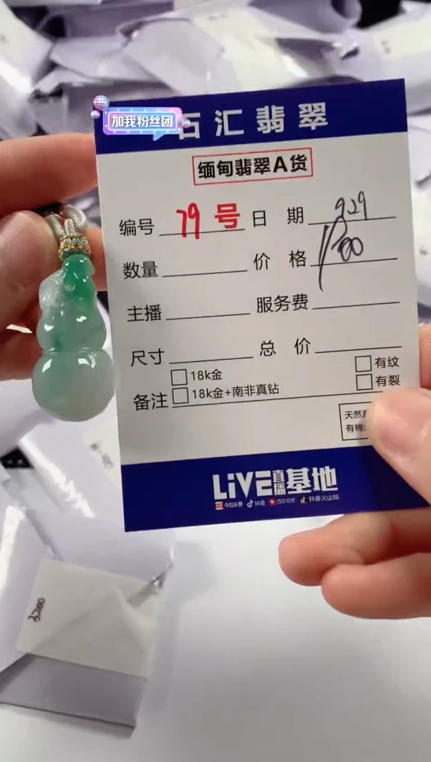 颈饰未镶嵌翡翠1