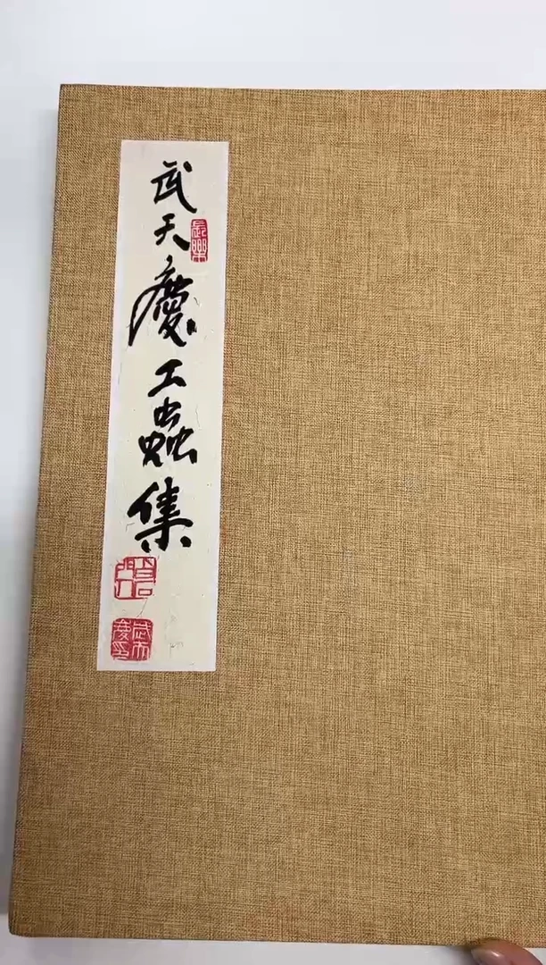 国画用****3武天庆老师草虫册页