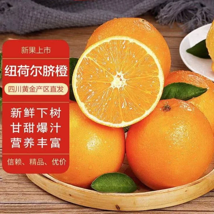 yj纽荷尔脐橙果园直发现摘现发香甜多汁孕妇果10斤包邮坏果包赔