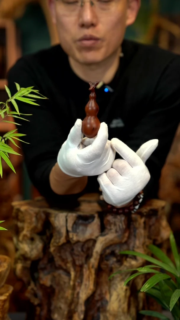 木雷击枣木蚂蚁葫芦