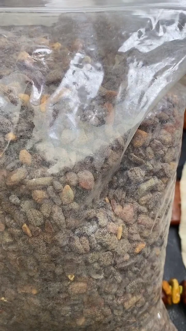 未镶嵌琥珀手链蓝*阳123