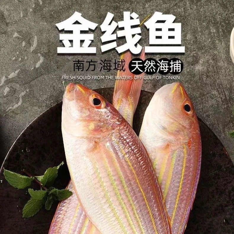 本港野生  金丝鱼  金线鱼一斤3条  整箱   顺丰包邮