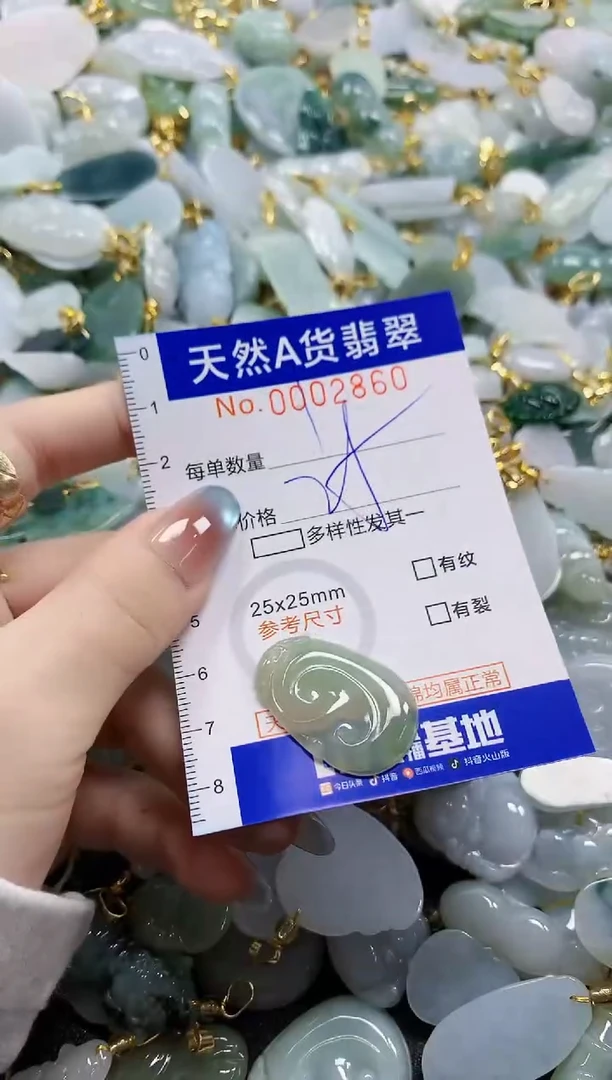颈饰未镶嵌翡翠纯天然a货翡翠