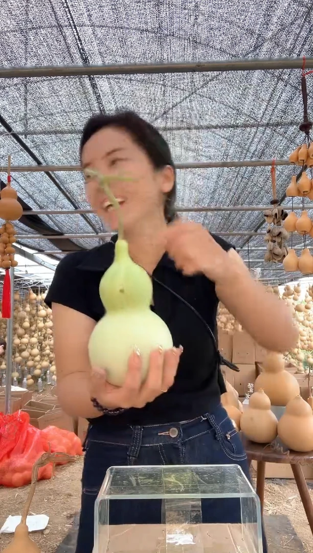 965天然葫芦摆件 一物一拍龙头不保售后微瑕疵