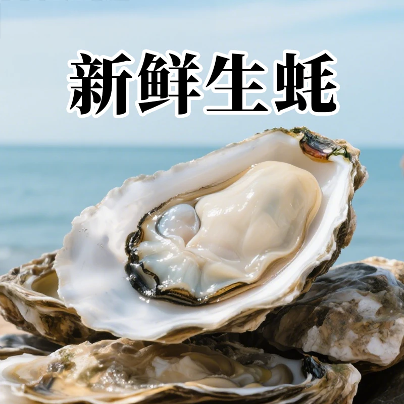 惠蚝精选新鲜3两+生蚝【拍3斤送2斤拍5斤送5斤】烤生蚝聚餐必备