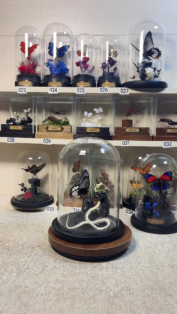 s****.蛇骨加立体玫瑰俏眼蝶