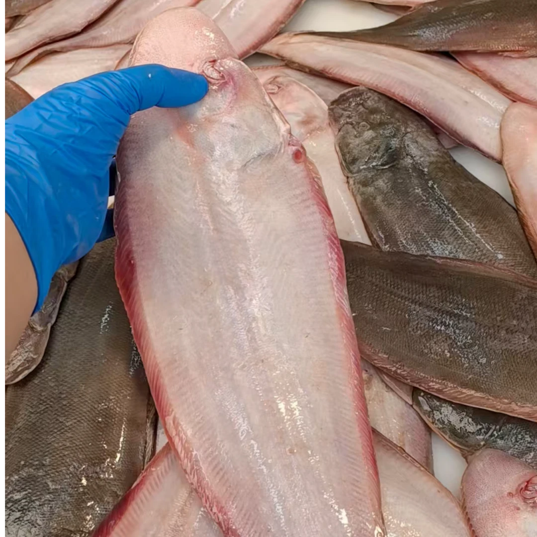 四斤共8条大号龙利鱼舌头鱼踏板鱼青岛新鲜发货顺丰