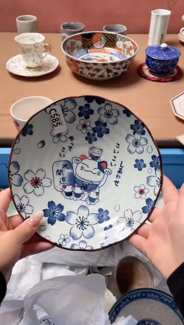 瓷片瓷器瓷器C585