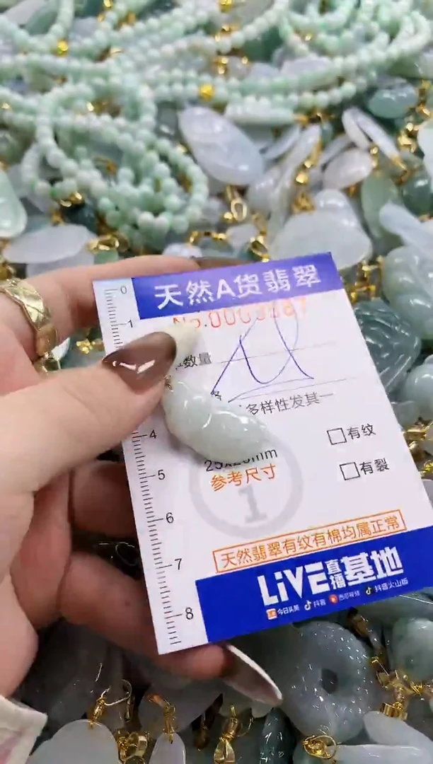 颈饰未镶嵌翡翠天然A货翡翠