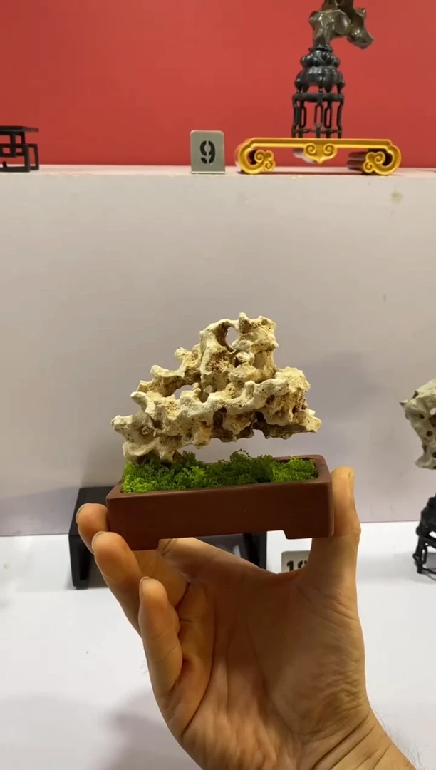石材释*树脂底座   石头是白太湖石