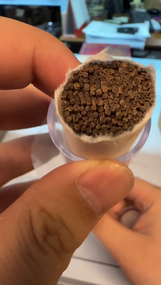 线香13号 芽庄白棋