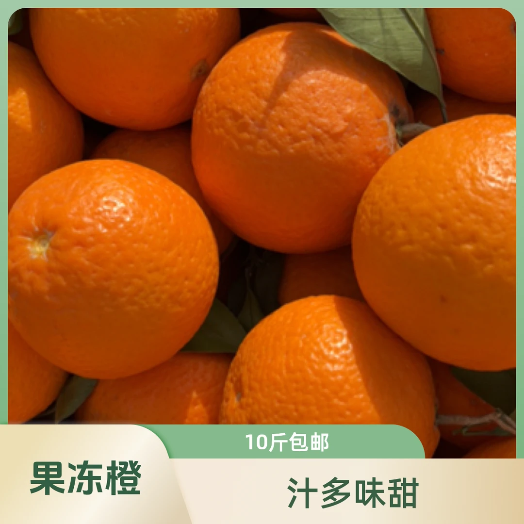 秋水橙10斤秋水橙