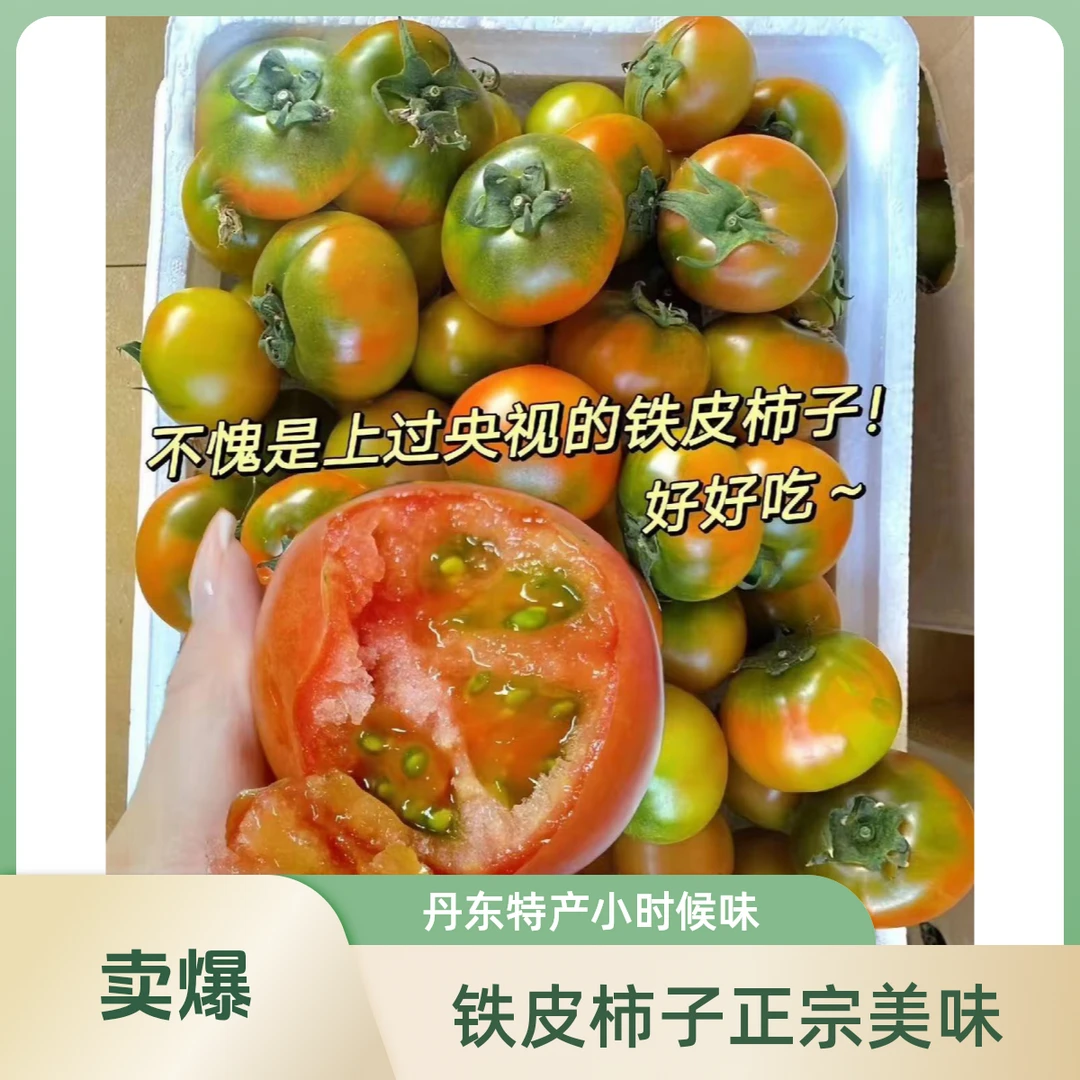 正宗丹东草莓铁皮柿子-还原小时候味道（女生低脂首先选择）铁皮柿子辽宁省