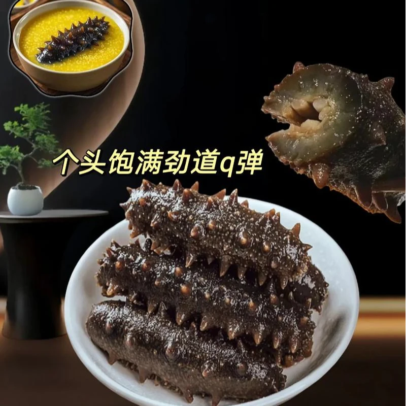 大连海参辽刺参9-11头海参，软硬适中，开袋即食工厂直发