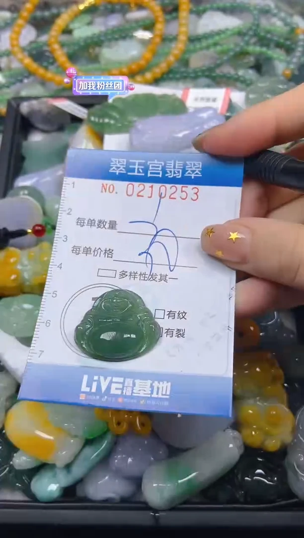 颈饰未镶嵌翡翠闪购C0210253
