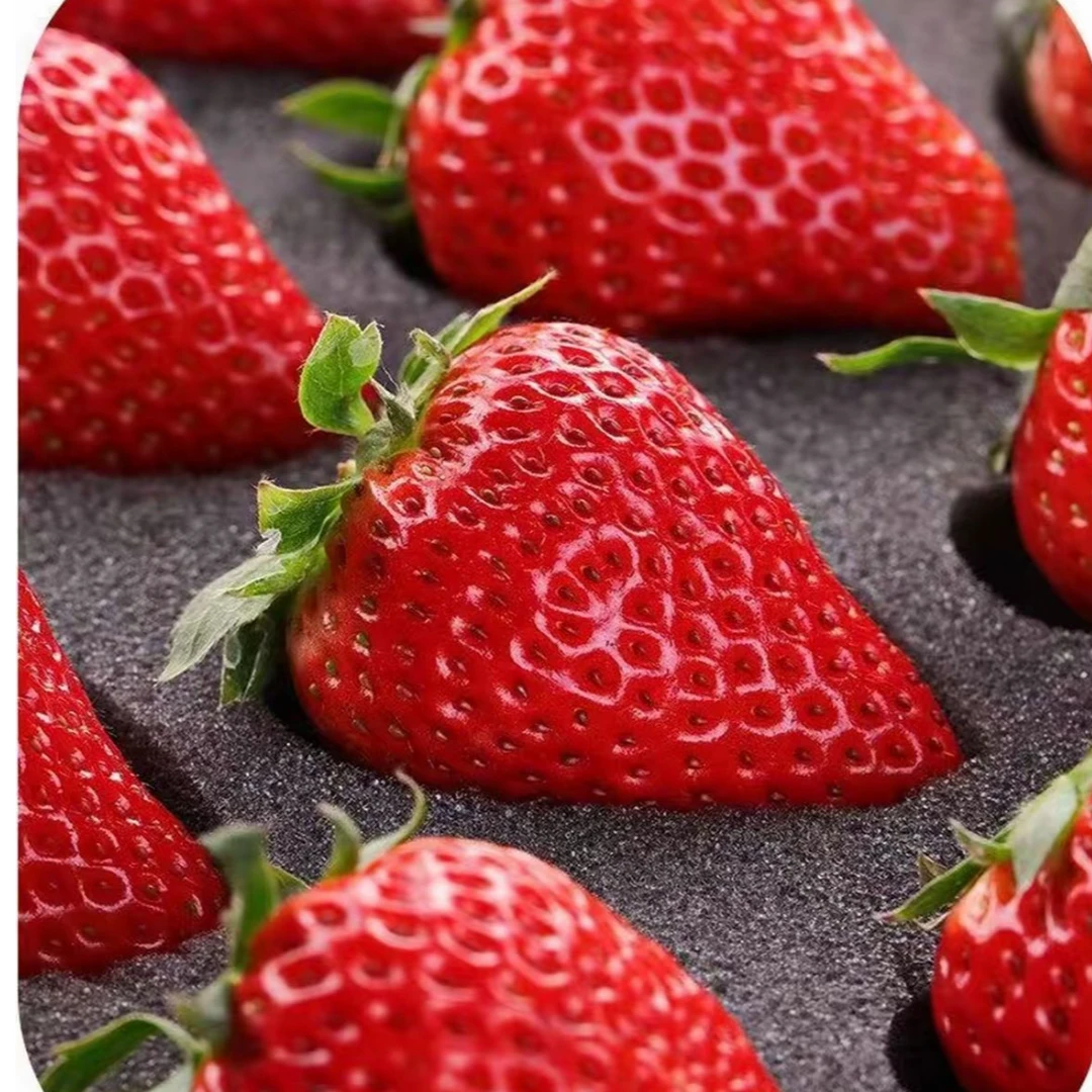 九九草莓  现摘现发  顺丰发货