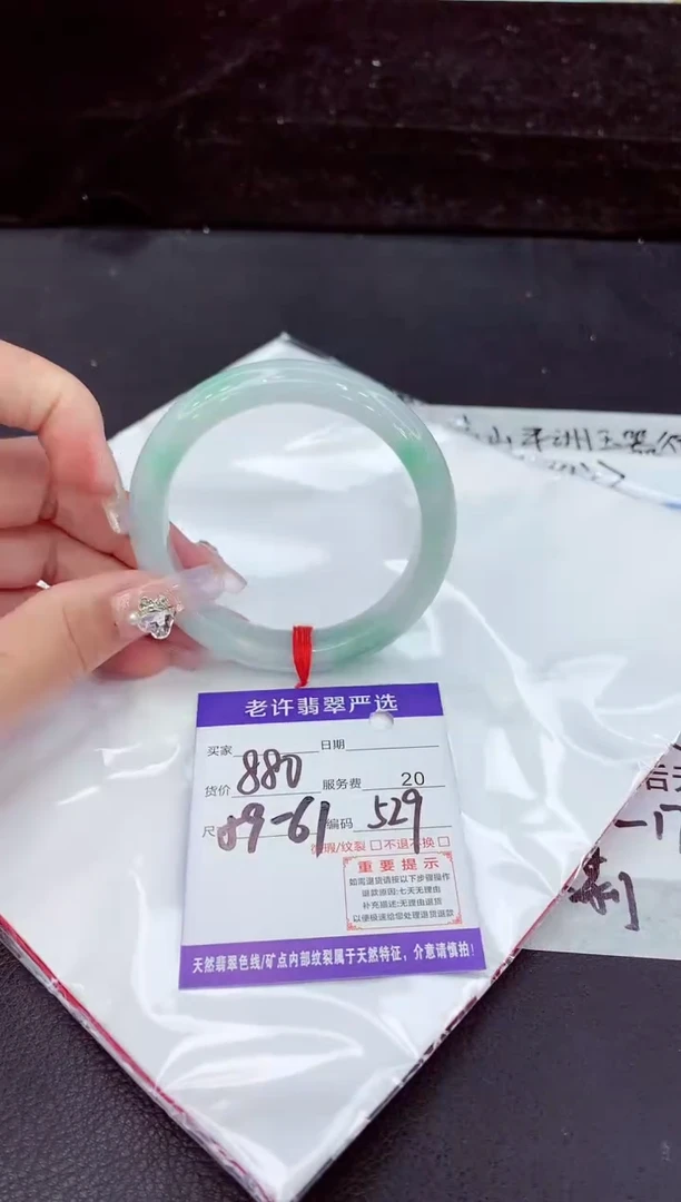 未镶嵌手镯翡翠1