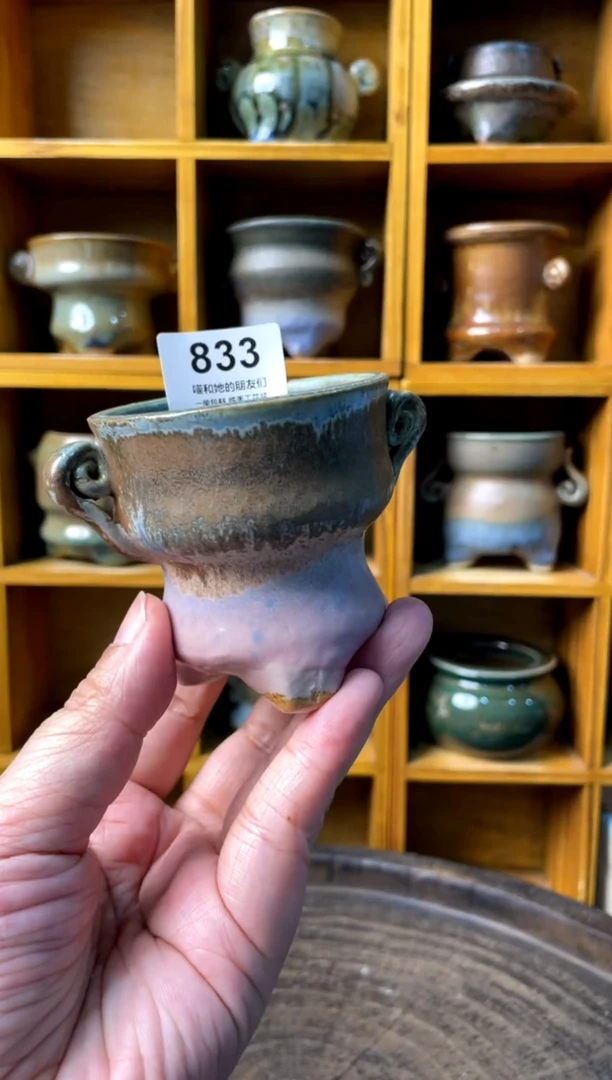 833【多肉花盆多肉盆】