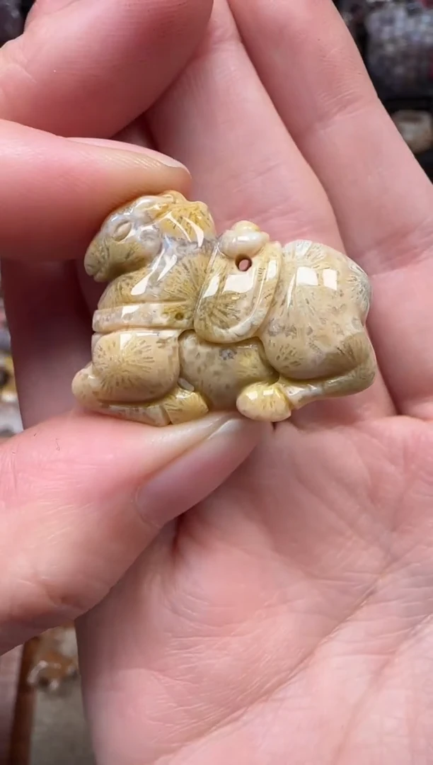 颈饰未镶嵌硅化珊瑚（珊瑚玉）200