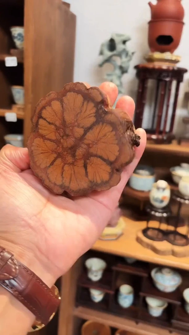 【闪购商品】茶道配件茶道配件2.8