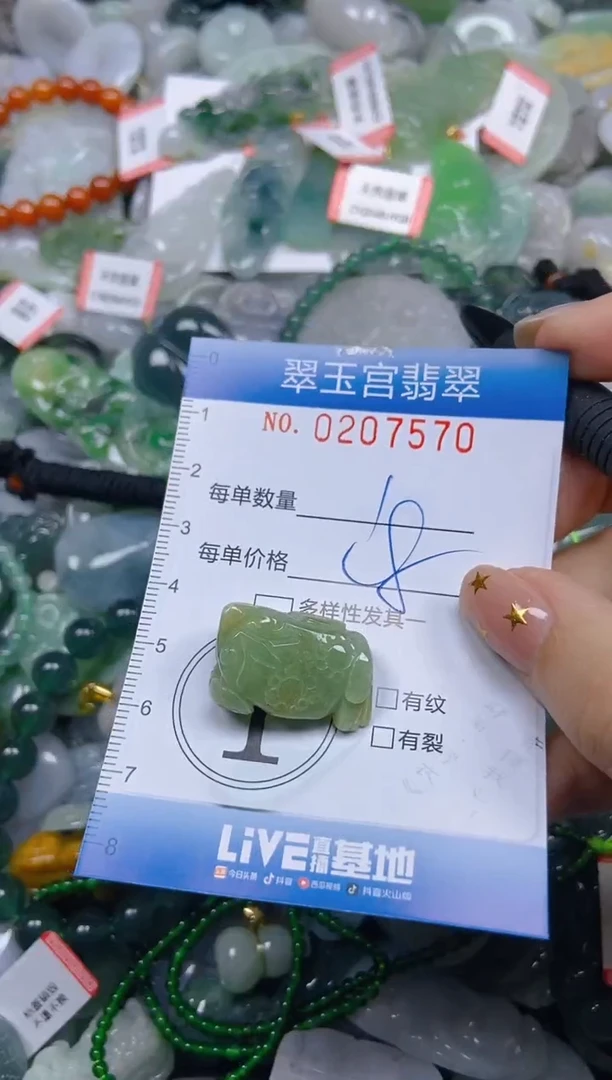 颈饰未镶嵌翡翠闪购C0207570