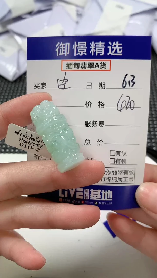 翡翠未镶嵌颈饰20