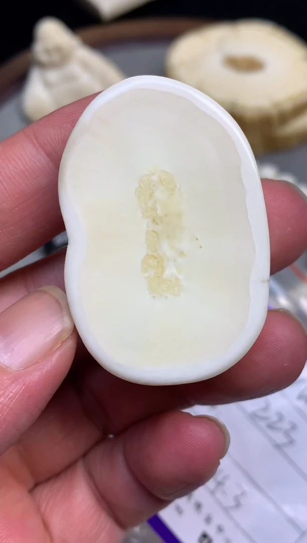 【闪购商品】橄榄核手串/手链猛犸猛犸猛犸猛犸D2