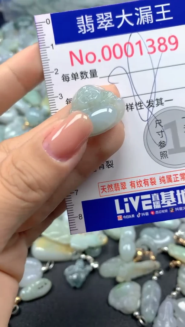 颈饰未镶嵌翡翠1389