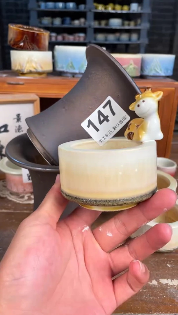 瓷片147知木小芳花盆直播编号