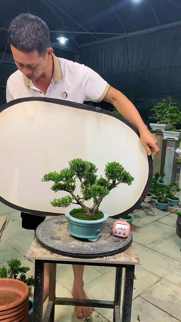 完全开放哈****?1111111