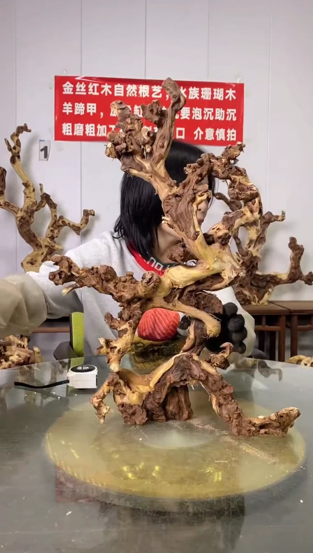 【闪购商品】香榧木金丝红木 羊蹄甲