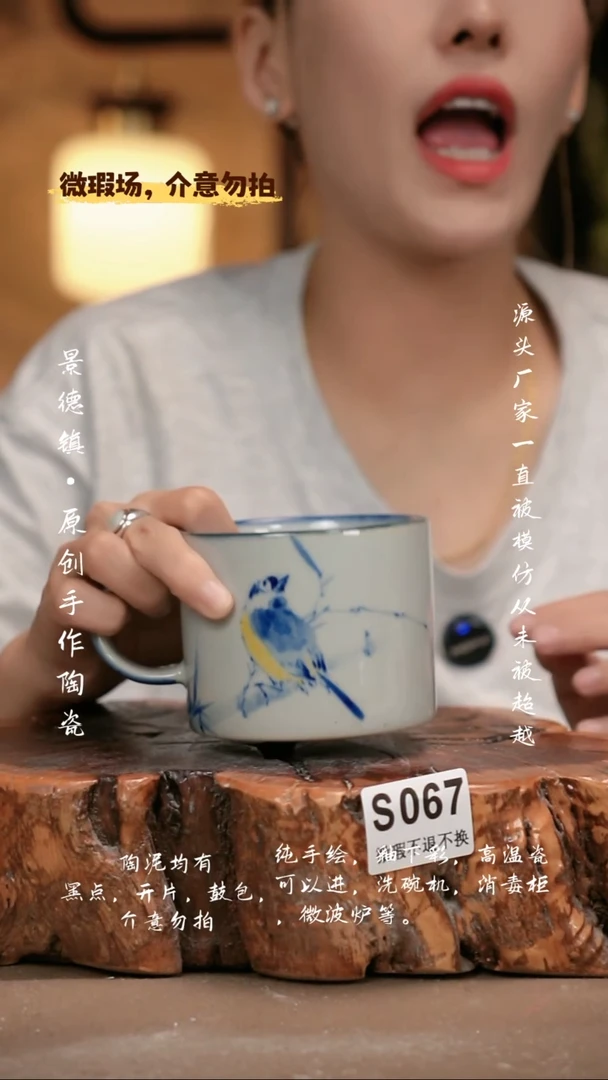 其他WS067新十二器