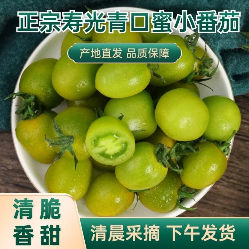 [现摘现发]青甜2号青口蜜绿色樱桃小番茄小西红柿圣女果新鲜水果