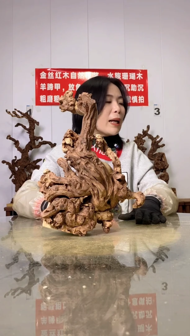 【闪购商品】木35金丝红木 羊蹄甲