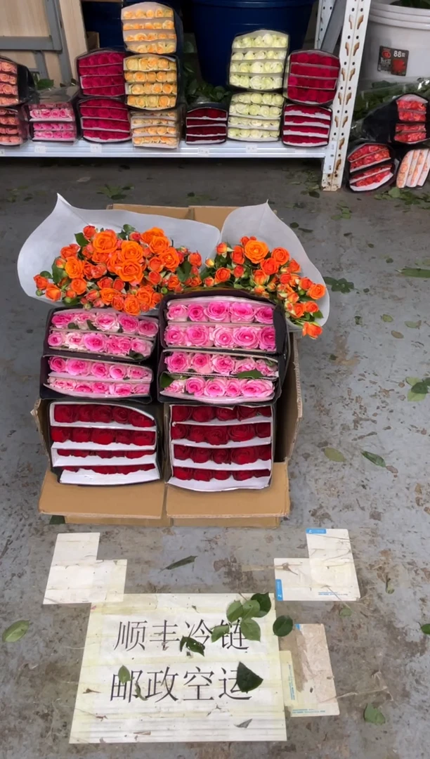 高原红20枝+洛神20枝+橙色芭比10枝