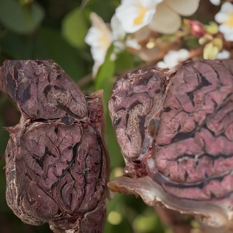 花腱 蝴蝶腱 精品牛腱子 真空包装顺丰包邮