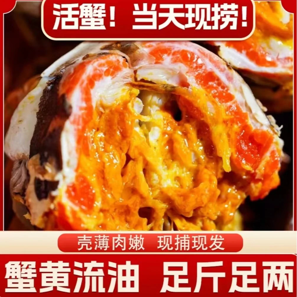 【活蟹】苏州精品大闸蟹8/12只 公蟹4.1-3.8两+母蟹4.1-3.8两 赠4只