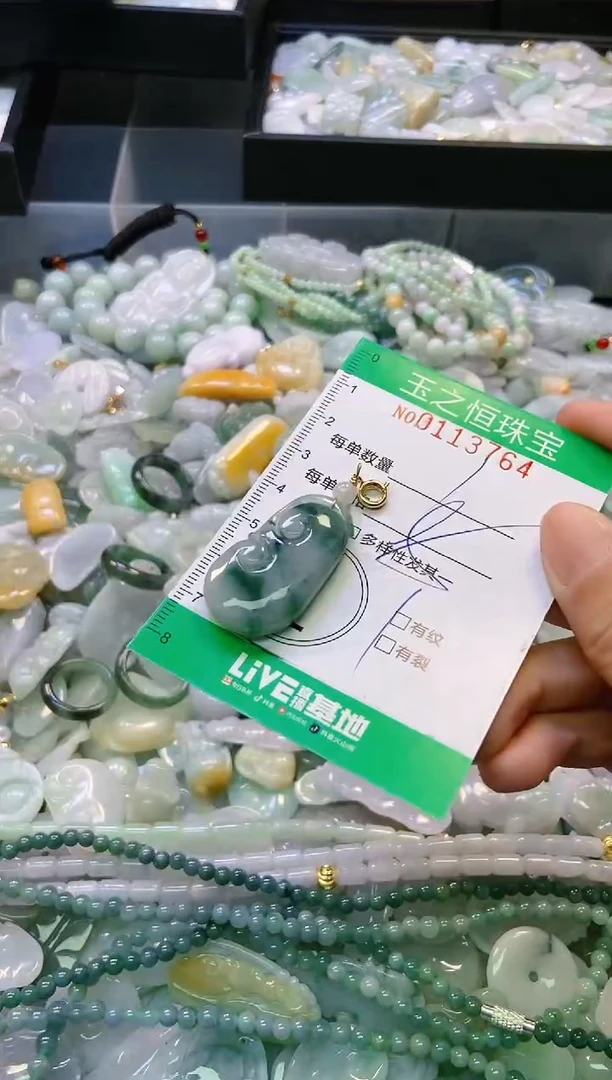 翡翠未镶嵌颈饰闪购0113764