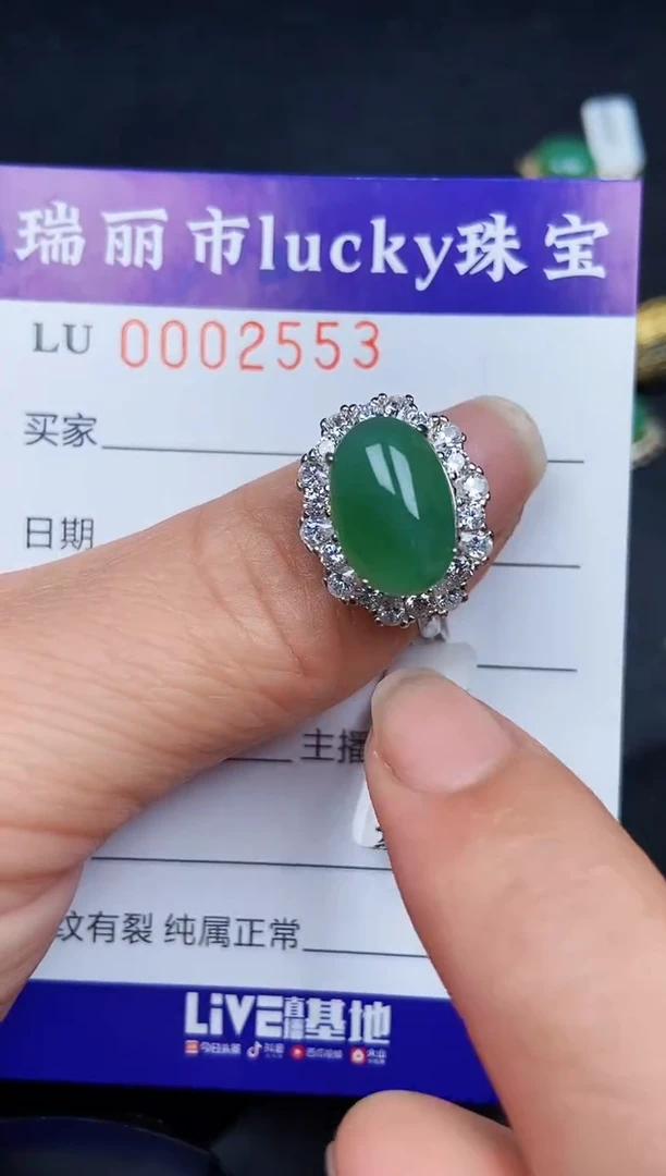翡翠银S925镶嵌颈饰2553