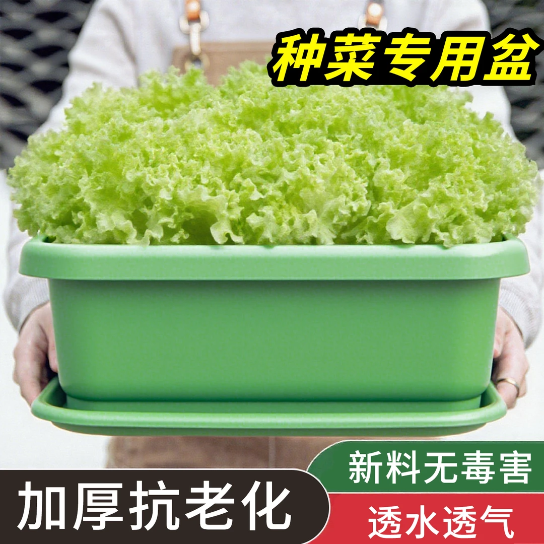 家庭阳台种菜盆蔬菜种植神器长方形花盆塑料长条槽室内特大号蔬菜